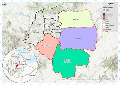 Navigating urbanization implications: effects of land expropriation on farmers’ livelihoods in Addis Ababa, Ethiopia